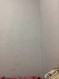 casalnovo8 webcam model stream image