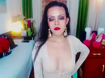 TheSeXXXDealerTrans69 webcam model stream image
