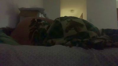 Bakedplayboy420 webcam model stream image