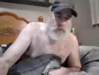 straightbear4you webcam model stream image