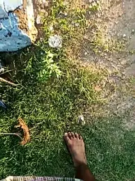 dolphiinn webcam stripchat model stream image