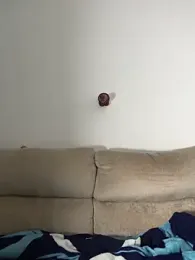 Rose_berry webcam stripchat model stream image