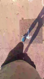 andreami72 webcam cam4 model stream image