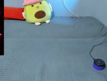 eva_zero webcam model stream image