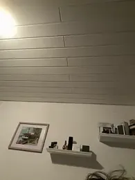 JuNIs_ webcam model stream image