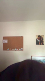 Givity webcam model stream image