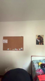 Givity webcam model stream image