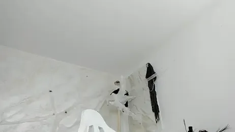 lissababe1 webcam model stream image