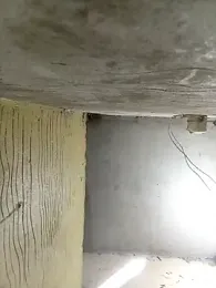 Bebicho14 webcam model stream image