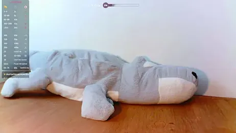 Geofeey webcam model stream image