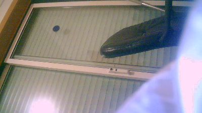 MAGICDICK20 webcam model stream image