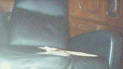 pio81295 webcam model stream image