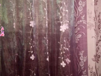 LeonaZdenek webcam model stream image