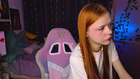WeiSusi webcam model stream image
