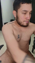 _LIONEL_ webcam model stream image