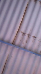 Electra_porn webcam model stream image