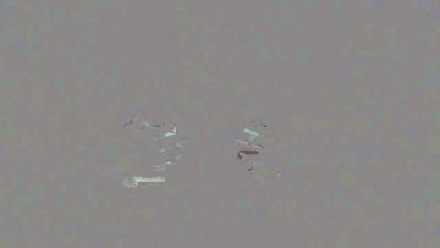 Blakke_AnnCams webcam cam4 model stream image