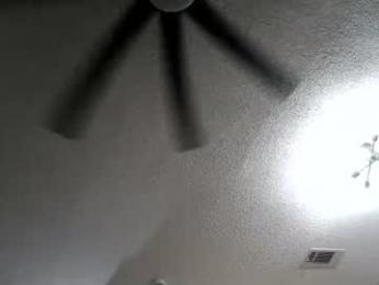the_beasts2 webcam model stream image