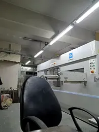 S-kt-et webcam model stream image