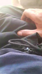 pereirabr691 webcam model stream image