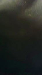 renatoalba8788 webcam model stream image