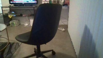 Silkworm_Piper webcam model stream image