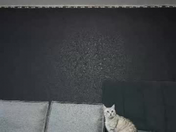 technohotgod webcam model stream image