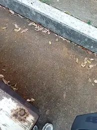 andresj22hot webcam stripchat model stream image