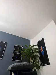 SilvaBranko webcam stripchat model stream image