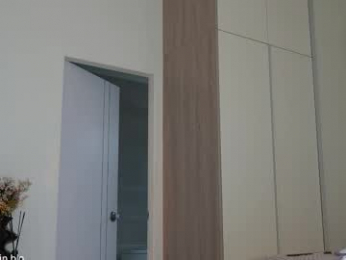 shinyways webcam model stream image