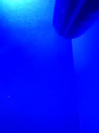 Mrkarizma webcam stripchat model stream image