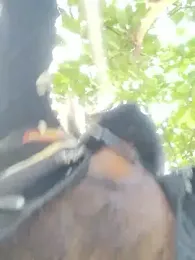 Jishm_ki_bhookh webcam model stream image