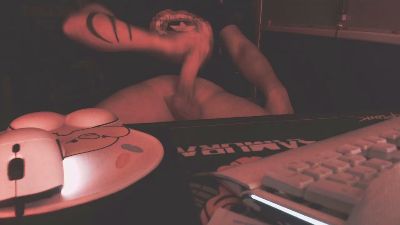 Fontainebleau webcam model stream image