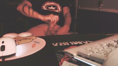 Fontainebleau webcam model stream image