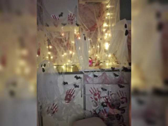 Hotpepper-Sweetpepper webcam model stream image