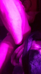 physicssexpert webcam model stream image