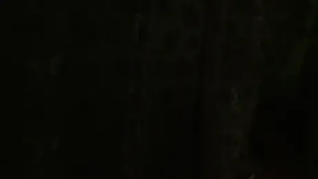 MartinaXBob webcam model stream image