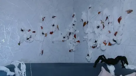 sofiaa_here webcam model stream image