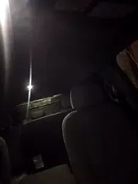 Beardedtattood webcam stripchat model stream image