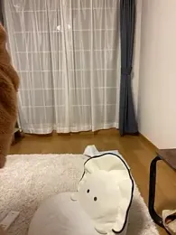 h415a812 webcam model stream image