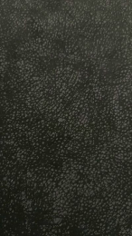 xxxLeilaxxx webcam model stream image