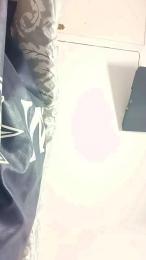 Pigbottom webcam model stream image