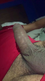 Tomassito webcam model stream image