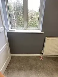 harleybarker webcam model stream image