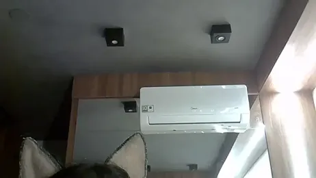 SkinnyKitten webcam model stream image