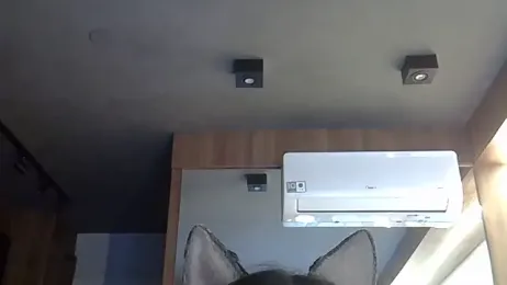 SkinnyKitten webcam model stream image