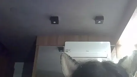 SkinnyKitten webcam model stream image