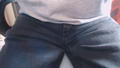 Linienpiilot webcam model stream image