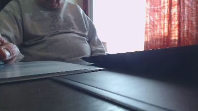 Linienpiilot webcam model stream image