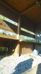 pandarosso1 webcam model stream image